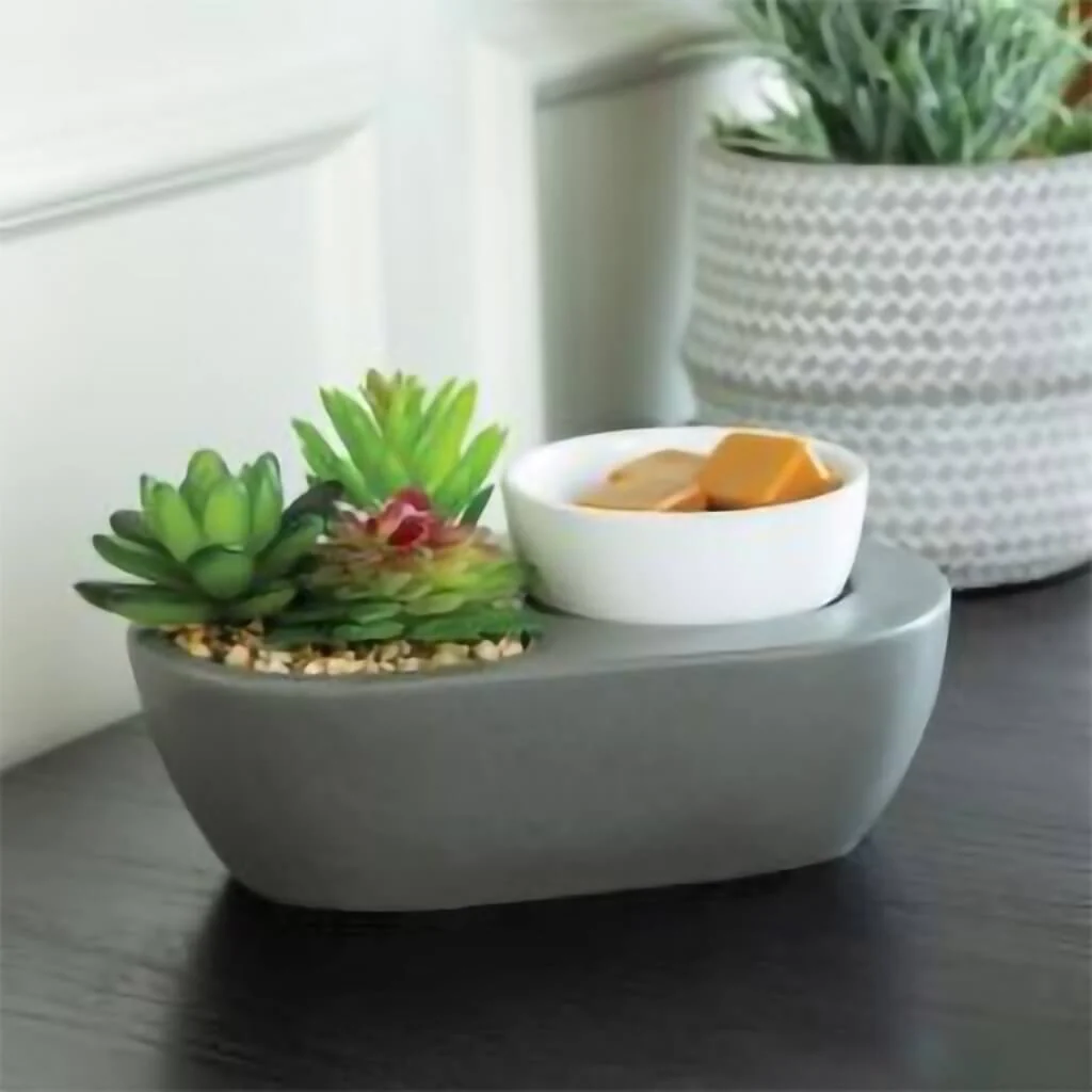Airomé : Succulent ArtScents Wax Warmer - Image 3