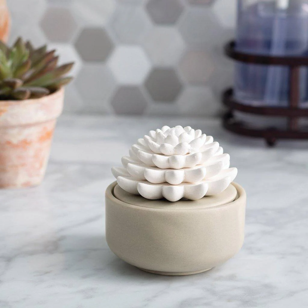 Airomé : Succulent Porcelain Diffuser - Image 2