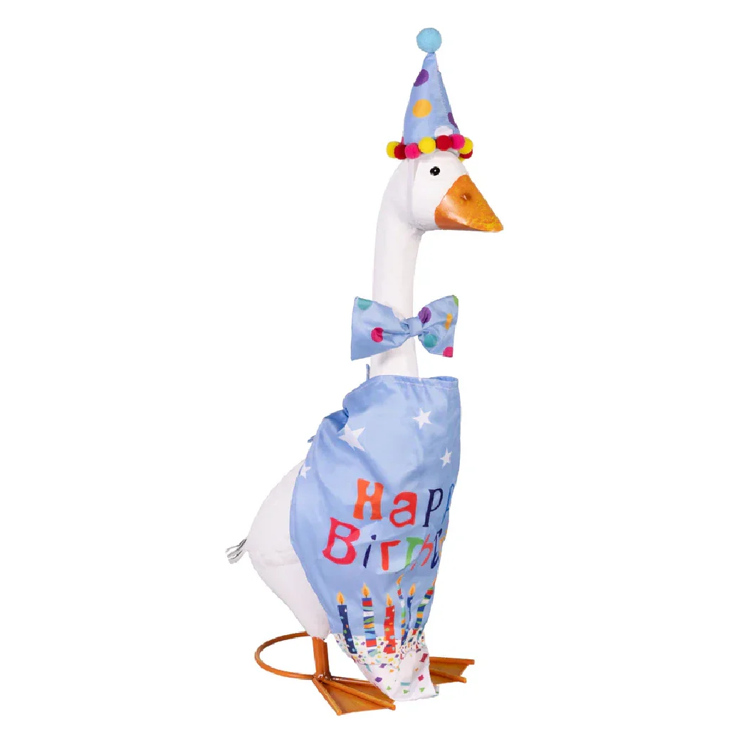 Evergreen : Porch Goose Outfit. Birthday Boy - Image 3