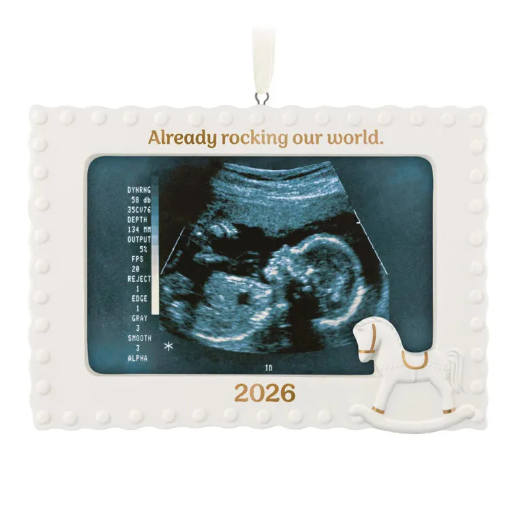 Hallmark : 2026 Keepsake Already Rocking Our World Photo Frame Porcelain Ornament (19) - Image 2