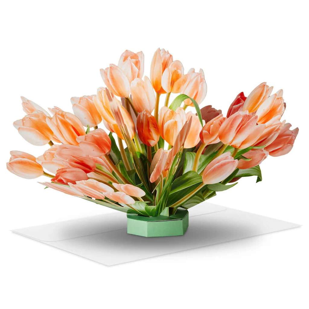 Hallmark : Build-a-Bouquet Pop-Up Paper Flowers - Image 6