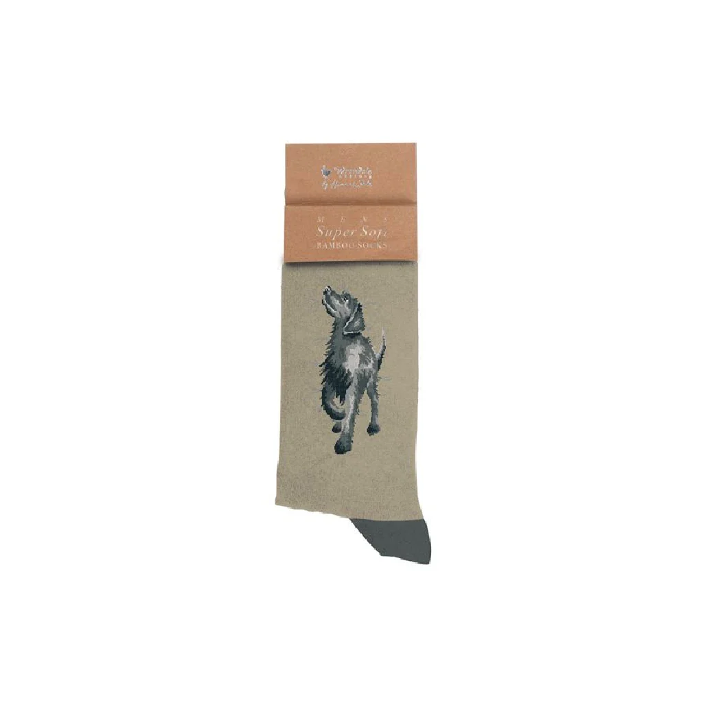 Wrendale : Ready for My Close Up' Men's Socks