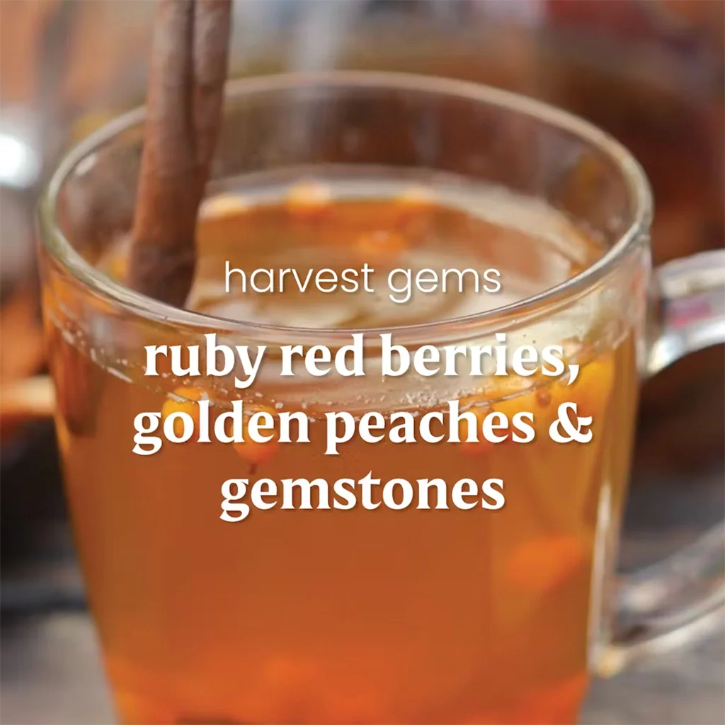 Yankee Candle : Harvest Gems - Large Tumbler - Image 5